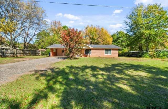 12335 Chapman Rd. - 12335 Chapman Road, Smith County, TX 75708