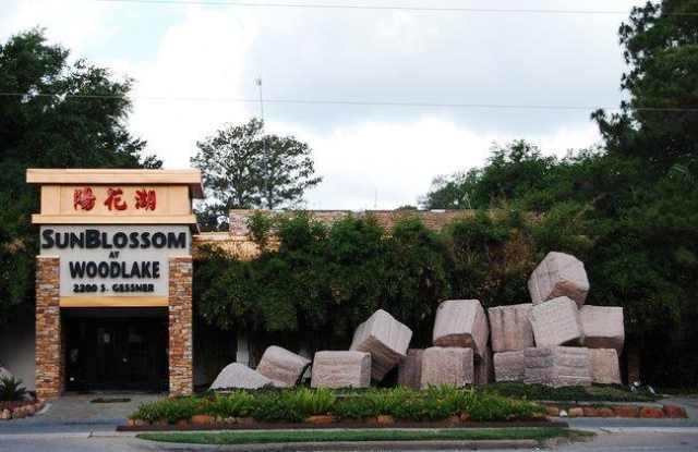 2200 South Gessner Road - 2200 South Gessner Road, Houston, TX 77063