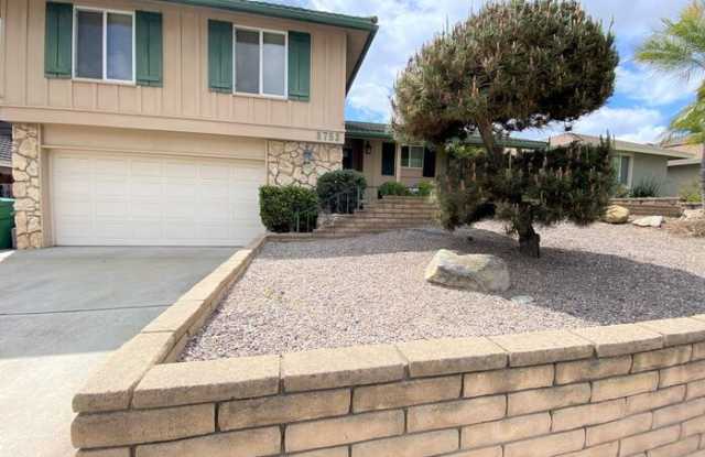 8753 Mulvaney Drive photos photos