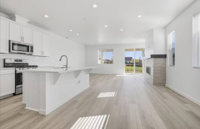 BRAND NEW LARGE 3 Bed 2.5 Bath Townhouse - 350 North Lagrasse Lane, Ada County, ID 83669