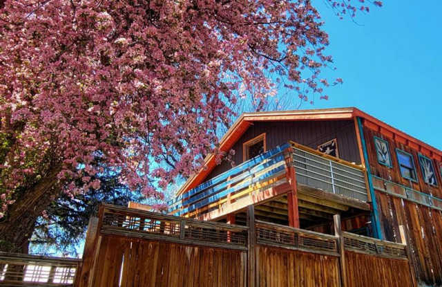 1BD Loft in the Heart of Downtown Pagosa Springs photos photos 1BD Loft in the Heart of Downtown Pagosa Springs photos photos