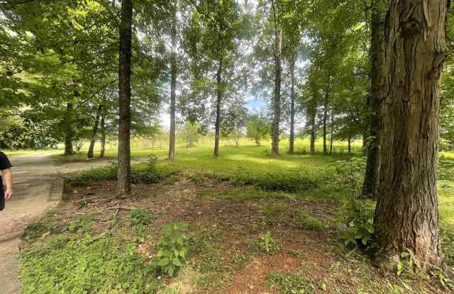 995 Mckee Road photos photos