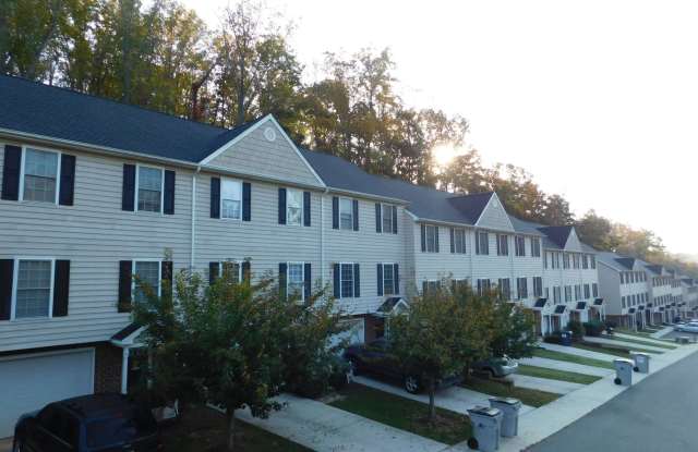 Brand New Three Level Luxury Townhome Available for Immediate Occupancy Gallery 4