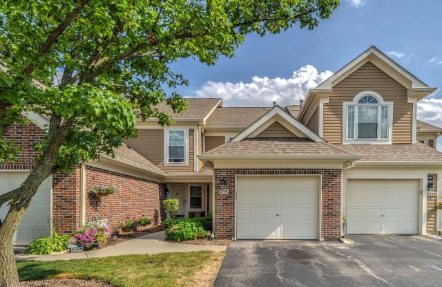 214 STEEPLECHASE Court - 214 Steeplechase Court, Schaumburg, IL 60173