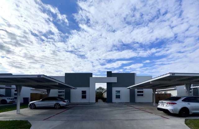 441 Acacia Street - 2 - 441 East Acacia Avenue, Alamo, TX 78516