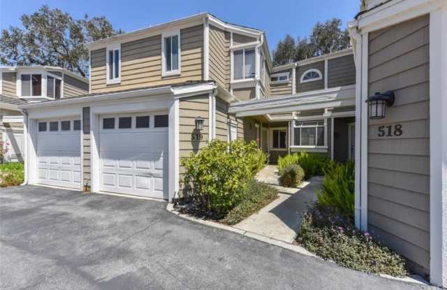 519 San Nicholas Court Gallery 2