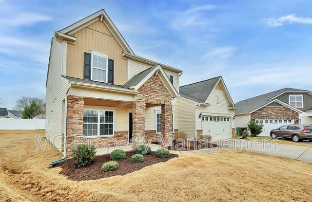 12700 Wither Steele Court - 12700 Wither Steele Court, Charlotte, NC 28273