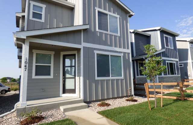 Brand New Construction! - 1047 Spartan Avenue, Berthoud, CO 80513