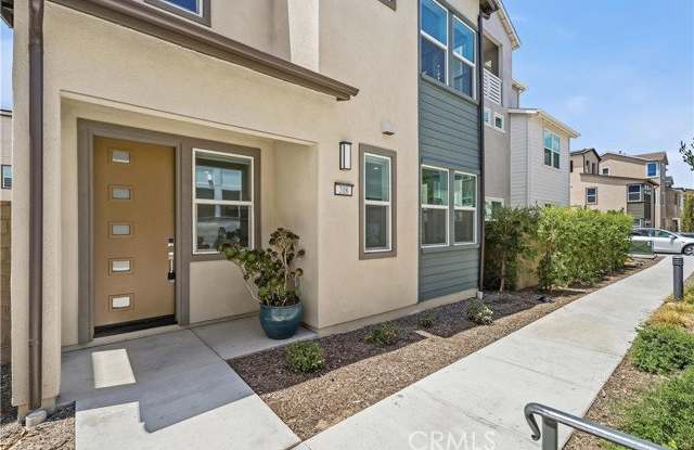 208 Yerba photos photos