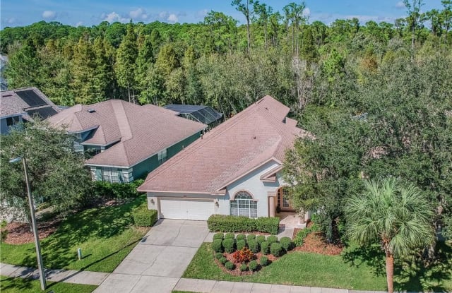 10409 GREENMONT DRIVE - 10409 Greenmont Drive, Westchase, FL 33626