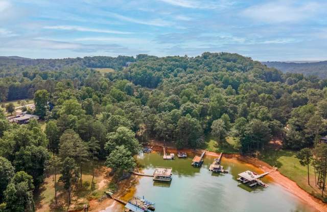 19 Lakeview Point - 19 Lakeview Point, Dawson County, GA 30534