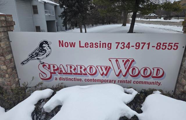 3805 Sparrow Wood Drive photos photos