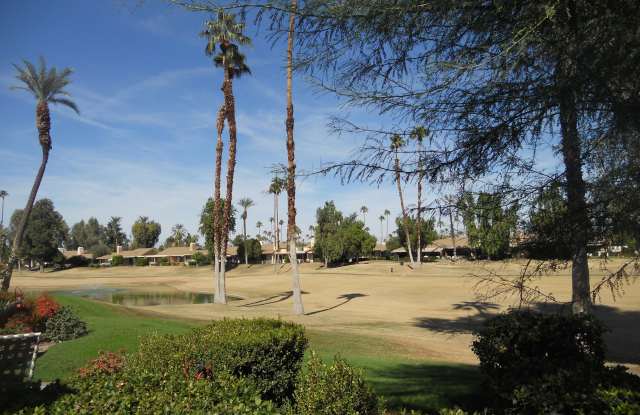 172 Gran photos photos