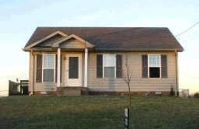 313 Cranklen Cir - 313 Cranklen Circle, Clarksville, TN 37042