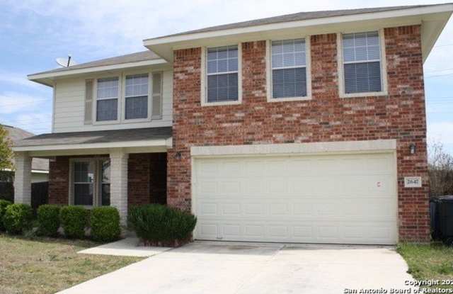 2647 White Wing photos photos 2647 White Wing photos photos