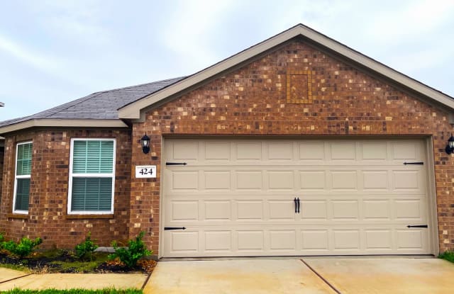 424 Elaine Valley Dr - 424 Elaine Valley Drive, Waller County, TX 77493