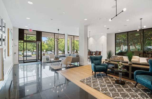 The Horizons photos photos