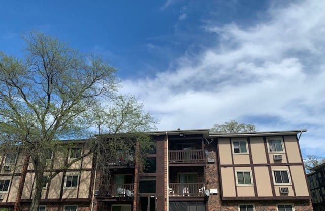 23435 Western Ave Unit B2 - 23435 Western Avenue, Park Forest, IL 60466