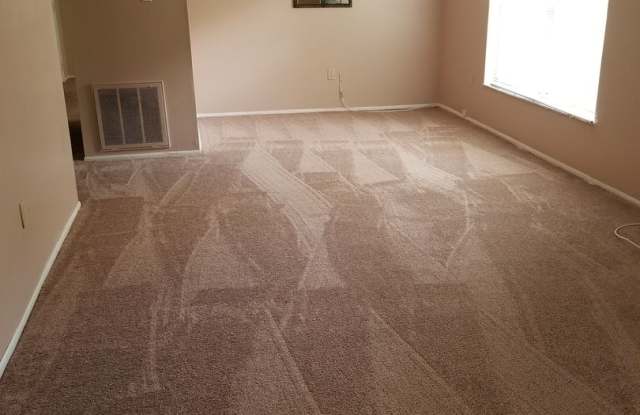 CONDO NEAR USF! Gallery 3