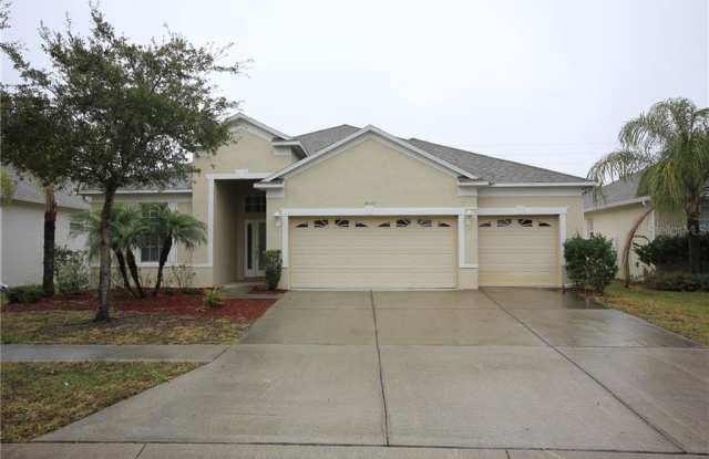 31207 ANNISTON DRIVE - 31207 Anniston Drive, Wesley Chapel, FL 33543