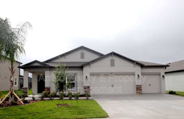 11415 Acacia Grove Ln - 11415 Acacia Grove Ln, Balm, FL 33598
