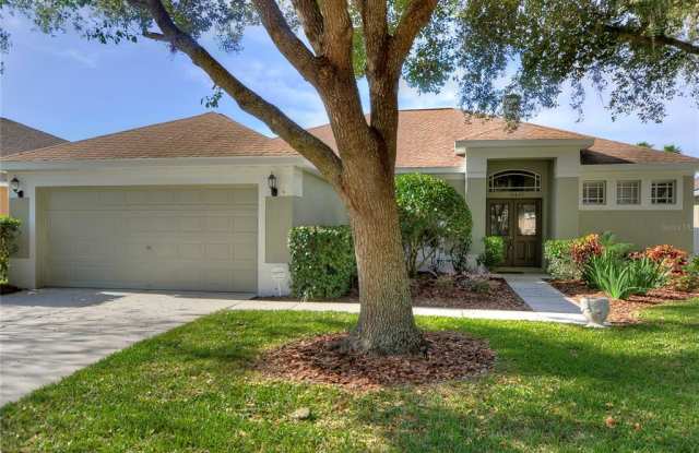 19407 MORDEN BLUSH DRIVE - 19407 Morden Blush Drive, Keystone, FL 33558