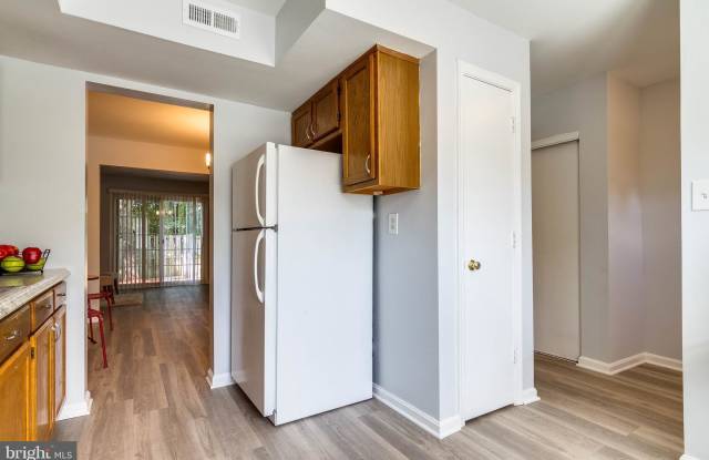 3317 LADINO COURT Gallery 4