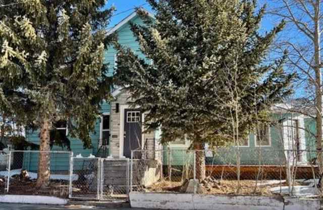 610 Poplar St - 610 Poplar Street, Leadville, CO 80461