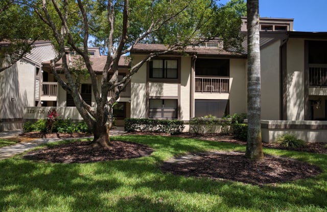 129 Woodlake Wynde - 129 Woodlake Wynde, East Lake, FL 34677