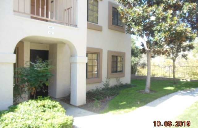 13104 Wimberly Square #67 Gallery 2