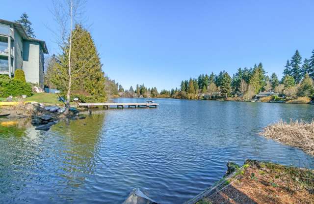 1Bd/1Ba Shoreline Condo Gallery 1