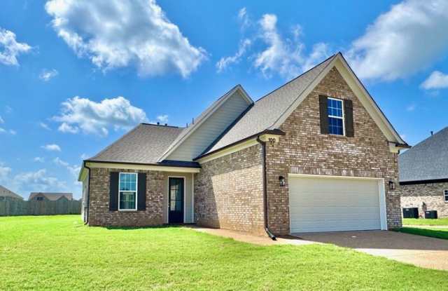 100 Primrose Lane photos photos