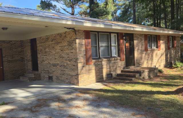 133 Kings Court Drive - 133 Kings Court Drive, Duplin County, NC 28398