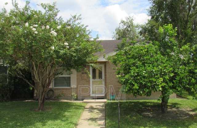51 Los Amigos - 51 Los Amigos Drive, Palm Valley, TX 78552