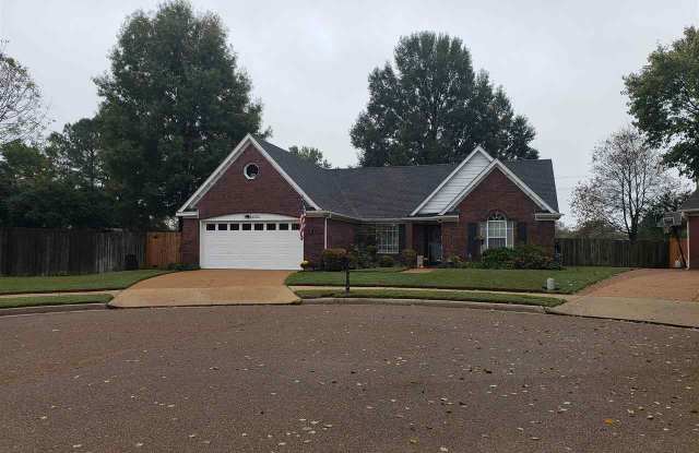 245 Poplar Bluff Cove photos photos