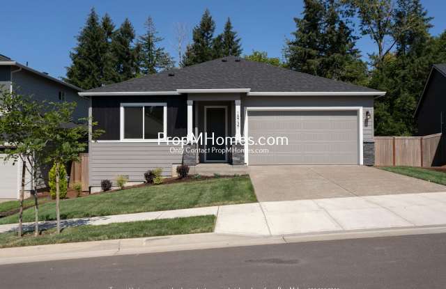 New Three Bedroom Home at Scouters Mountain! photos photos