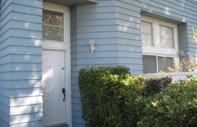 4874 Thille Street Gallery 2
