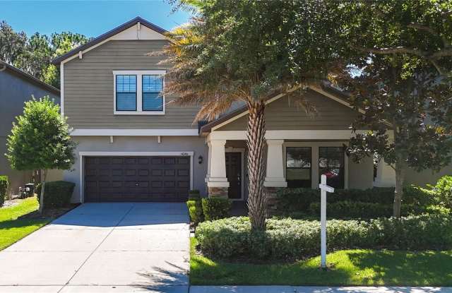 14240 BLUE DASHER DRIVE photos photos