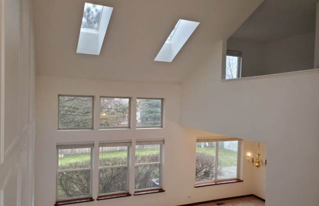 211 Lexington Ct Gallery 4