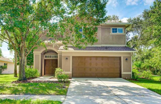 Large 4/2.5 home in Valrico across from the pool photos photos