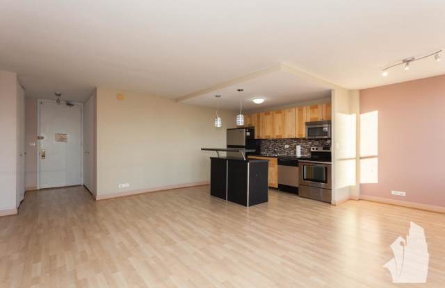 655 W Irving Park Gallery 3