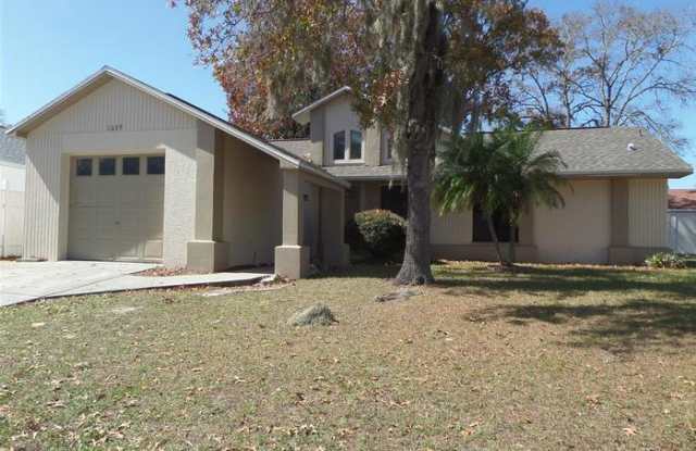 1039 Jambalana Drive - 1039 Jambalana Drive, Holiday, FL 34691