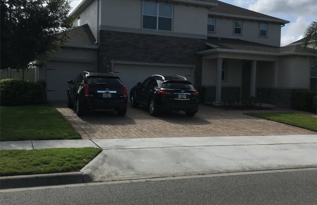 11717 Chateaubriand Ave - 11717 Chateaubriand Avenue, Horizon West, FL 32836