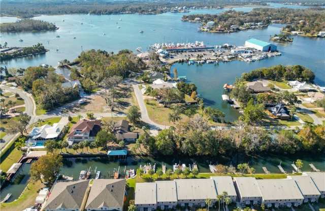 65 Beach Lane photos photos