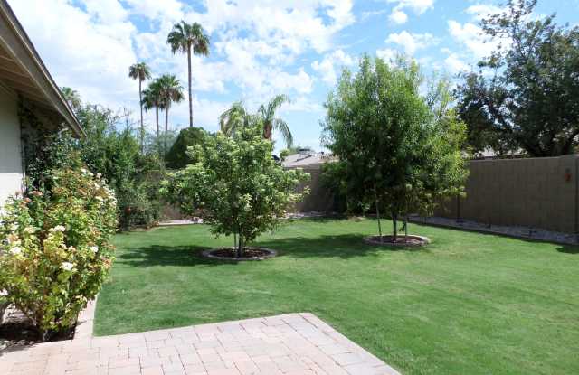 1123 W MANHATTON Drive Gallery 4