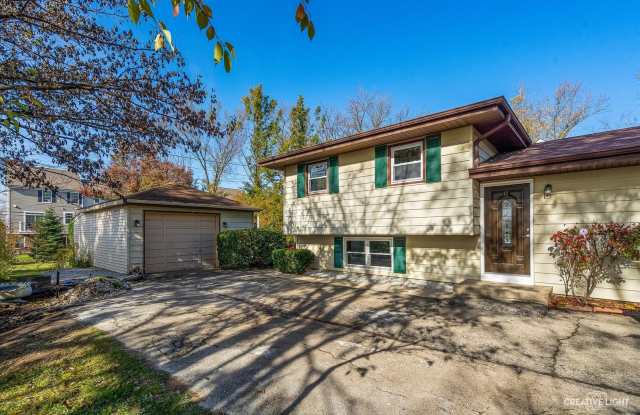 6262 Janes Avenue - 6262 Janes Avenue, Downers Grove, IL 60516
