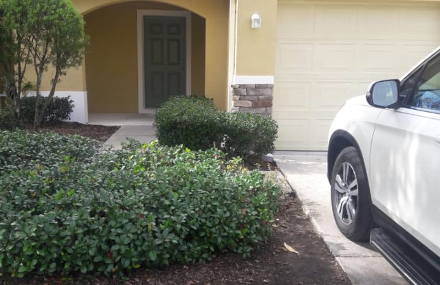 11614 Mango Ridge Boulevard - 11614 Mango Ridge Boulevard, Mango, FL 33584