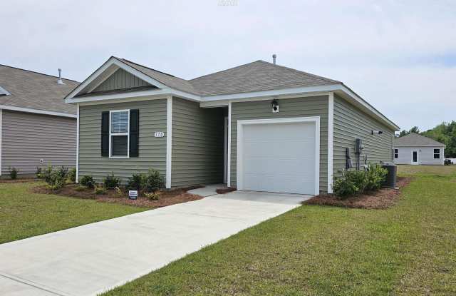 170 Honey Jar Way - 170 Honey Jar Way, Horry County, SC 29569