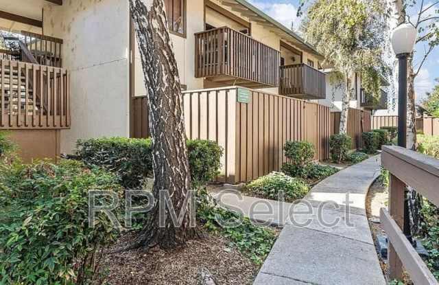 2410 Starlight Ln photos photos