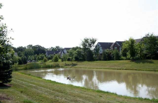 3012 Orinoco Lane Gallery 2
